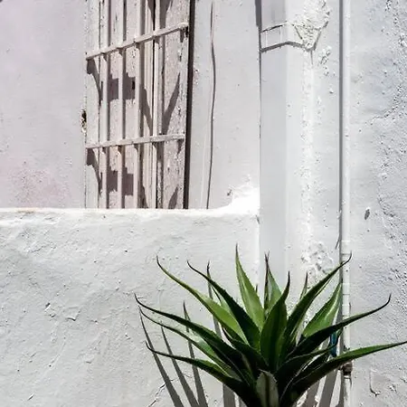 Apartmán Salvador Urban Sevilla